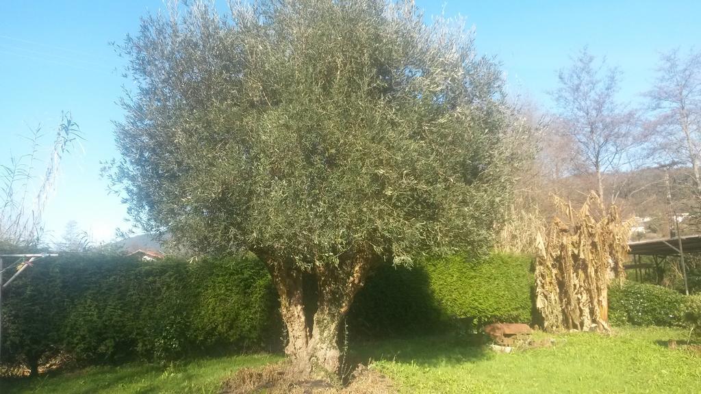 Casa Rural Ibarrondo Etxea Mungia Bagian luar foto